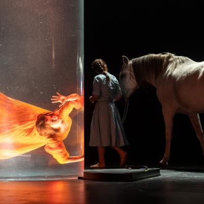 Gtg Einstein On The Beach 6455