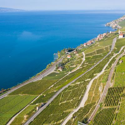 Lavaux Drone 0089